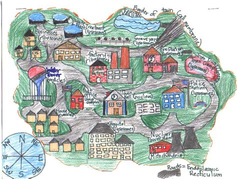 cell city project examples.
